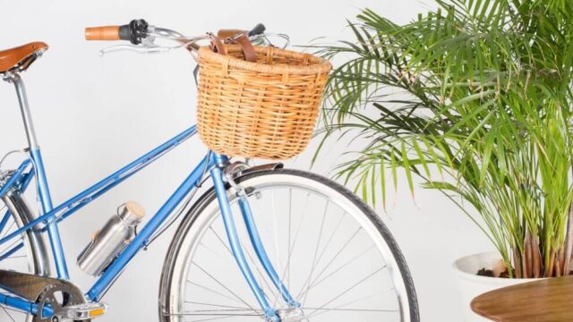 Bicicleta de ciudad accesorios